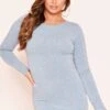 Lexi Grey Long Sleeve Basic Jersey Mini Dress